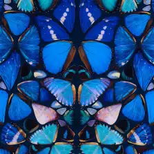 blue butterflies stacked on top of each other